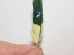 -八哥美术·成人美术画室(总校区)