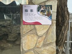 -北京市海淀外国语实验学校