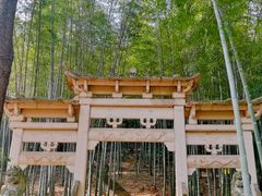 -午潮山国家森林公园