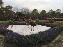 -上海鲜花港