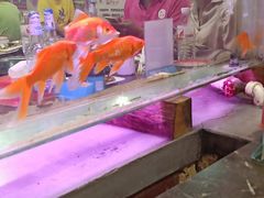 -粗粮人家·东北菜(洋桥店)