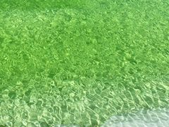 -察尔汗盐湖
