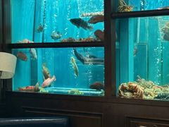 -珍记海鲜酒家(嵩山路店)