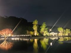 -鲁镇