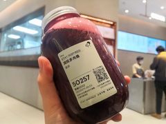 满瓶多肉桑-喜茶(太原印象城店)
