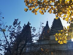 -北京石刻艺术博物馆(五塔寺)
