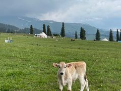 -新疆那拉提国家旅游度假区