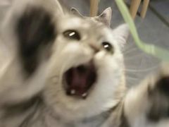 -山山家·新鲜烘焙(孝顺店)