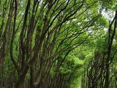 -同里国家湿地公园