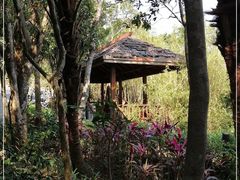 -亚龙湾热带天堂森林公园