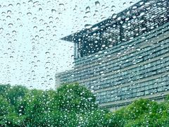 -上海中医药大学附属曙光医院(东部)