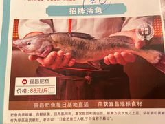 -鱼豆吉·豆浆鱼火锅(宜昌万达店)