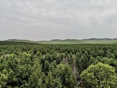 -塞罕坝国家级自然保护区