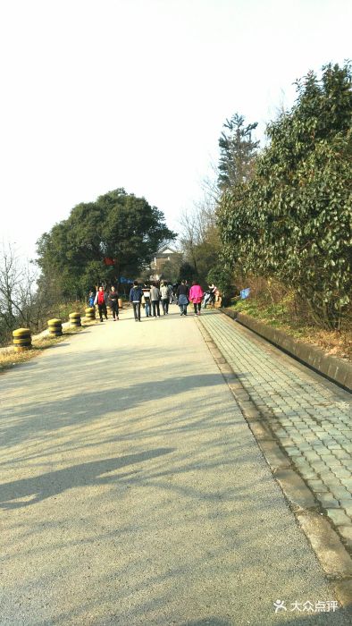 惠山國家森林公園-圖片-無錫周邊遊-大眾點評網