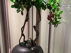 -名岛家宴(龙塔店)