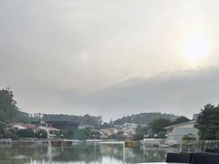 -明珠海港大酒店