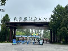 -黄海国家森林公园