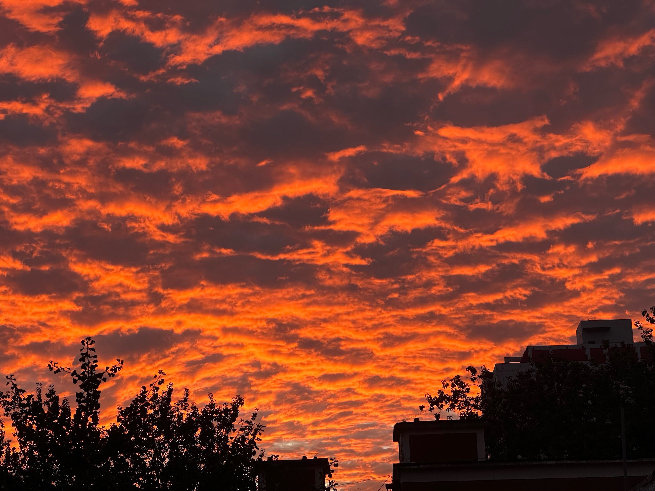 难得一见的火烧云