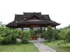 -中国科学院西双版纳热带植物园