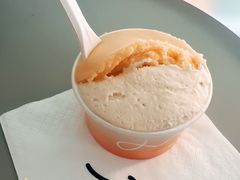 -Dip in Gelato(富民路店)
