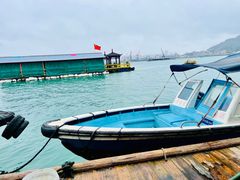 -罗源湾8号渔排