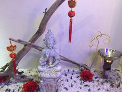 -ventus spa 沙巴亚庇正宗精油按摩会所