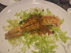 -猪肉婆私房菜(容桂总店)