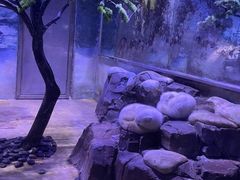 -上海海昌海洋公园-冰山北极馆