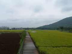 -艾米稻香小镇
