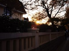 -八大关景区