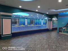 -小泳士游泳训练基地(芥园西道店)
