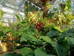 -国家植物园南园