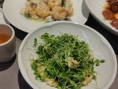 -燕春楼(海河华鼎店)