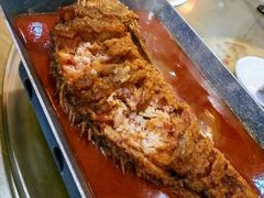 -杏花村水席楼·洛阳水席(老城十字街店)