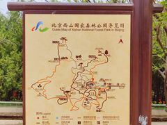-北京西山国家森林公园