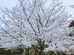 -江南大学(蠡湖校区)