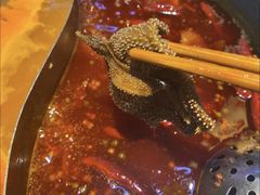 -卤校长重庆火锅(国兴店)