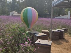 -紫海香堤香草艺术庄园