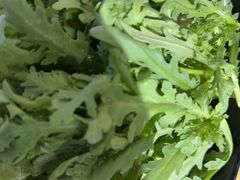 -云中鱼蒸汽石锅鱼(川沙百联店)