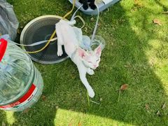 -长春市南湖公园