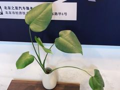 -北京之星奔驰4S店(亦庄店)