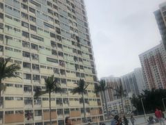 -彩虹村