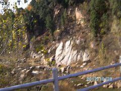 -鲁山国家森林公园