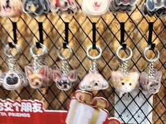 -和它·交个朋友·狗咖猫咖(爱琴海店)