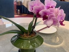 -聚福宝合苑食府(南头镇店)