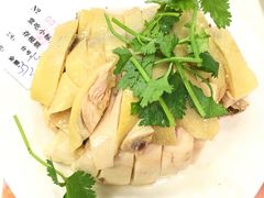 -振鼎鸡(华阴路店)