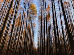 -山王坪喀斯特国家生态公园