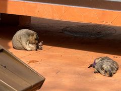 -南戴河国际娱乐中心