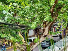 -弦月窗LUNETTE BY AMANDA(复兴路店)