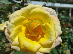 -人民公园(罗湖区)